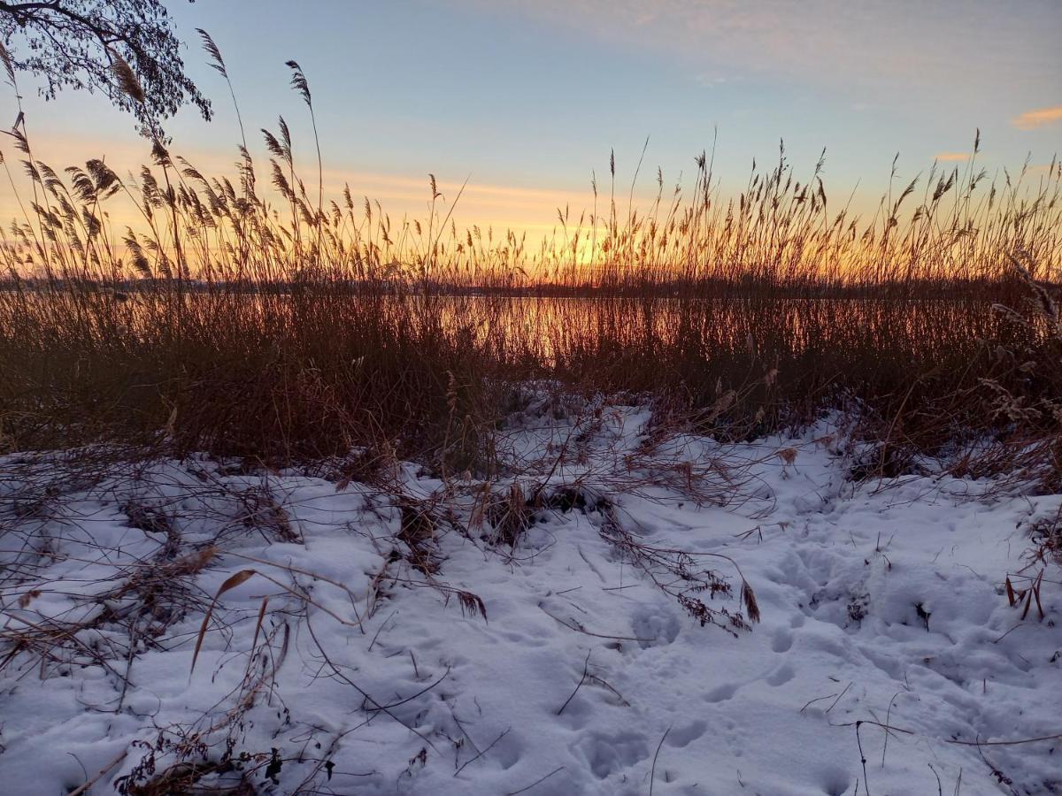 Vila Het Zeepaartje, Knus En Gezellig Noordwijkerhout Exteriér fotografie
